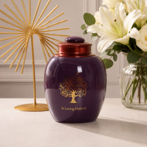 Modelo Memorias Morado
